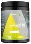Adams Vision Collagen si HA pulbere instant cu aroma de vanilie, 600g, Adams Vision