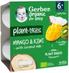 Gerber Desert cu mango, kiwi si lapte de cocos +6 luni, 4x90g, Gerber