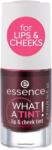 essence Ruj si fard de orbraz What a Tint! Lip&Cheek Tint 01, 4.9ml, Essence