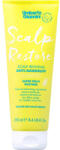 Umberto Giannini Sampon anti-matreata cu enzyme din fructe Scalp Restore, 250ml, Umberto Giannini