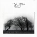  Terje Rypdal: Waves