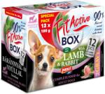 Panzi Fit-a-Box 12x100 g