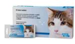  Bioveta Pipeta Antiparazitara Pentru Pisici, Fiprin Spot On Cat, 50 mg
