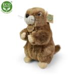 Rappa Marmotă de pluș 23 cm ECO-FRIENDLY (RP221857)