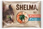 Shelma Cat lazac/tőkehal mártásban 60 x 85 g