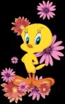 Zuty Picturi pe numere Tweeturi și flori roz (Looney Tunes) (<![CDATA[M10-040-050-601353]]>) Carte de colorat