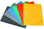 BLUERING Mapă cu gumă A4, carton 300g, colțuri cu bandă elastică bluering®, negru (JJ40984)