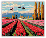  Tulipánok Tánca - számfestő készlet