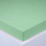 decoDoma Cearşaf cu elastic jersey EXCLUSIVE verde deschis 160 x 200 cm