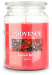 Provence Lumânare în borcan cu capac FRUCTE DE PĂDURE CONDIMENTATE, 510 g