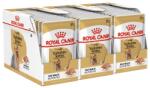 Royal Canin ROYAL CANIN ADULT YORKSHIRE 36 x 85 g