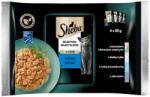 Sheba Selection Select Slices Fish Flavours 4x85g teljes értékű nedves macskaeledel szószos darabokban lazaccal és fekete tőkehallal, fehér hal, óceáni hal, tőkehal