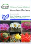 Saflax Mammilaria keverék - 1 csomag