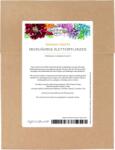 Magic Garden Seeds Többéves kúszónövények - magszett - 1 szett