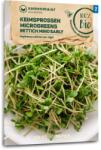Samen Maier Mino Early" retek bio csíráztatni való mag/mikrozöld - 1 csomag