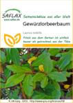 Saflax Nemes babér - 1 csomag