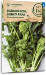 Samen Maier Bio "Cima di rapa" szárkáposzta - 1 csomag