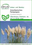 Saflax Amerikai pampafű - 1 csomag