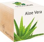 Feel Green ecocube "Egzotikumok" - Aloe Vera