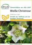Saflax Fehér hunyor - 1 csomag