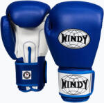 WINDY Mănuși de box WINDY Classic Synthetic Leather blue