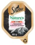 Sheba Nature’s Collection 85 g nedves teljes értékű eledel felnőtt macskáknak lazacdarabokkal, borsóval díszítve, mártásban