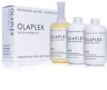 OLAPLEX Salon Intro Kit kötésépítő szalonkezelés, 1 db No. 1, 525 ml + 2 db No. 2, 525 ml