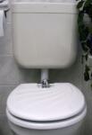 Toilette Nett bidé / bidével kombinált WC-ülőke bidé funkcióval, poliészter-műgyanta kivitel, kagylómintás tetővel, fehér színű, 120K típus