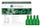 Dermoscent Dermo Care PYO Spot on 20-40kg 4x2, 4ml