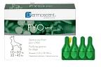 Dermoscent Dermo Care PYO Spot on 10-20kg 4x1, 2ml