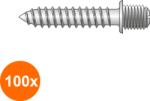 Index Set 100 x Holsurub Cap Metric Otel Zincat Galben-M 6x 30 (COR-100xX0042630S)