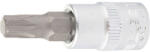 STELS T8 1/4 TORX professional bitfej aljzattal CrV (13801)