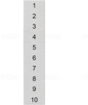 Siemens 8WH8140-2AB05 sorkapocs jelölő, 5, 2mm széles/2, 5mm2-hez, fehér, 1 . . . 10 (10x) (8WH81402AB05)