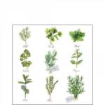 Ambiente Herb selection papírszalvéta 25x25cm, 20db-os