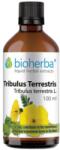 Bioherba Tincture Tribulus Terrestris [100 мл]