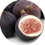 Tuscan Fig allergén mentes illatolaj