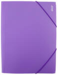 Daco Mapa Plastic Cu Elastic Daco Mp250mp (MP250MP)