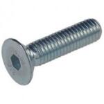  sf bkny csavar coor m12x110 a2 sw8 (7991)