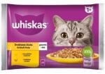 Whiskas Adult tasak 4x85 g Poultry Jelly Feast nedves eledel felnőtt macskáknak zselében: csirke, pulyka
