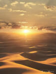 Marburg Dune 2024 32545 Sivatag Poszter (32545)
