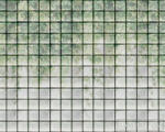 AS Creation Walls by Patel 3 DD122076 zöld GREENHOUSE 2 digitális panel (DD122076)