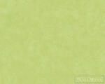 AS Creation 36206-7 (36206-7)