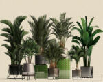 AS Creation Walls by Patel 3 DD122084 bézs PLANT SHOP 1 digitális panel (DD122084)