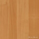 D-C-FIX 200-5506 DC-FIX ÖNTAPADÓS FÓLIA VILÁGOS ÉGERFA 90cm x 15m (200-5506)