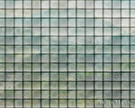 AS Creation Walls by Patel 3 DD122080 zöld GREENHOUSE 3 digitális panel (DD122080)