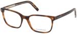 Ermenegildo Zegna EZ5203 052 (EZ5203 052)