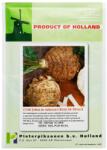 PPZ Seminte telina Giant Prague PPZ - 10 g (PR-100887)