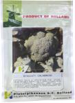 PPZ Seminte Broccoli CALABRESE PPZ Olanda - 10 g (PR-100252)