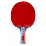 inSPORTline Paleta tenis de masa inSPORTline Shootfair S5 (21557) - insportline