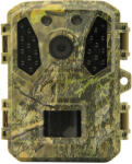 TETRAO Ninox 32 Mpx